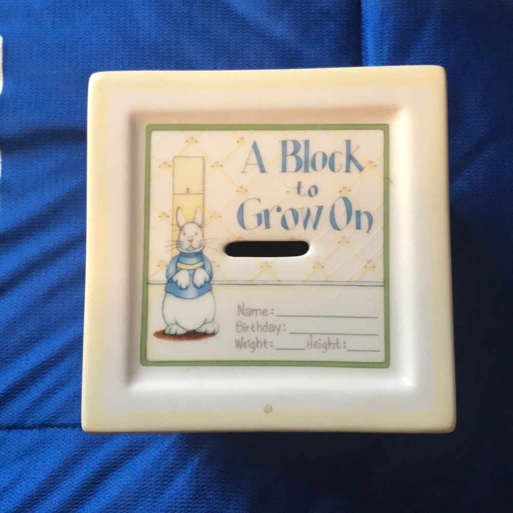 Babies 1st Year Memory Bank